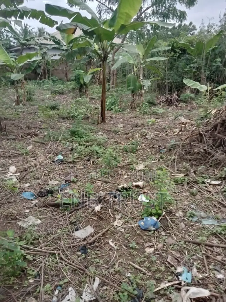 2 Plot of Land for Sale at Amasaman Obeyeyie