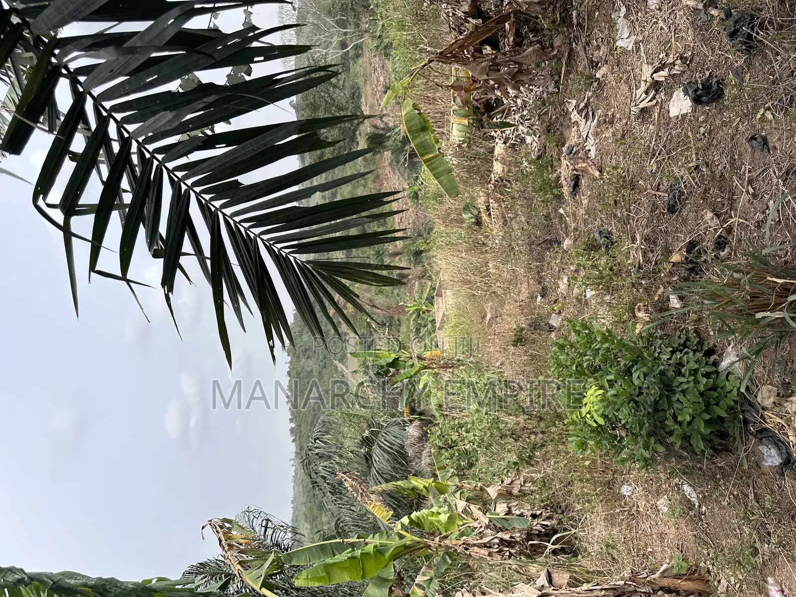 Medea Samsam a Plot of Land for Sale