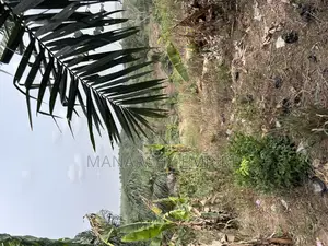 Medea Samsam a Plot of Land for Sale