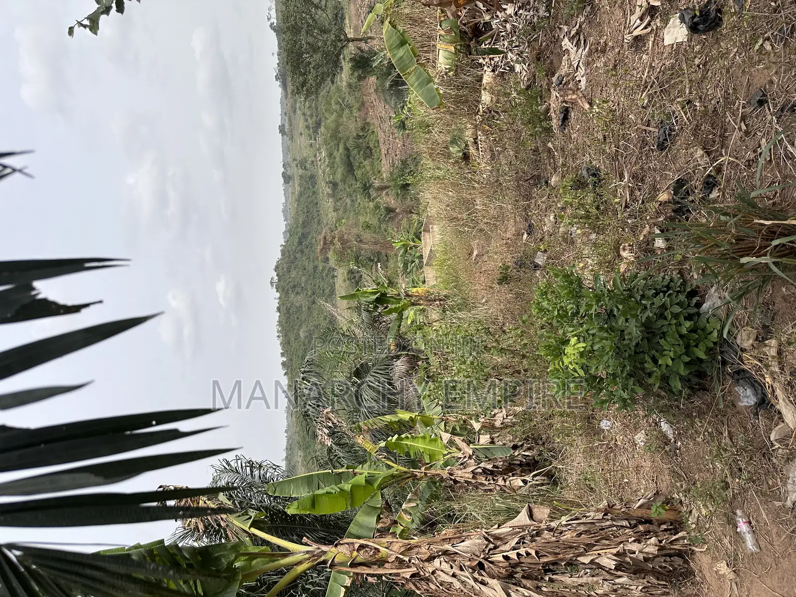 Medea Samsam a Plot of Land for Sale