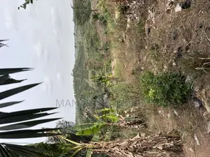 Medea Samsam a Plot of Land for Sale