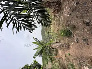 Medea Samsam a Plot of Land for Sale