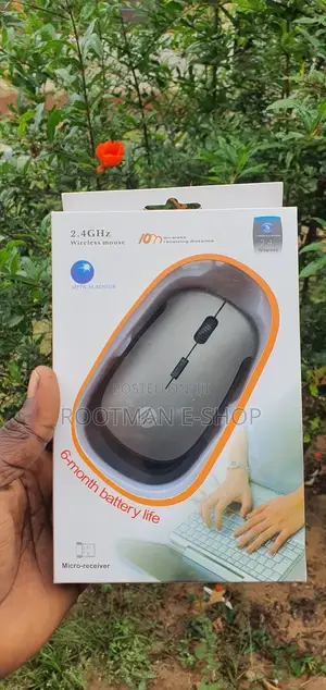 Hp Wireless Optical Mouse