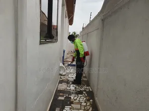 Konongo,Juaso Fumigation With Cleantex