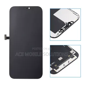 iPhone 12 Pro Max Screen