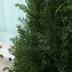 Set of Two Faux Cedar in Pot, Fake Uv Rated Potted Artificial Plant