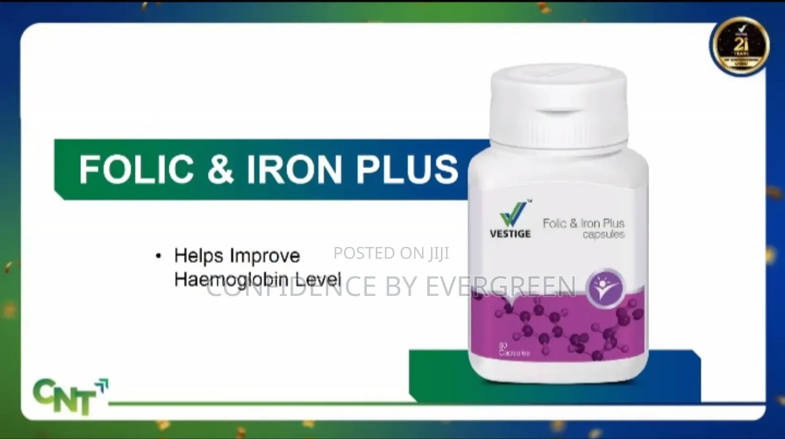Folic And Iron Plus Capsules By Vestige