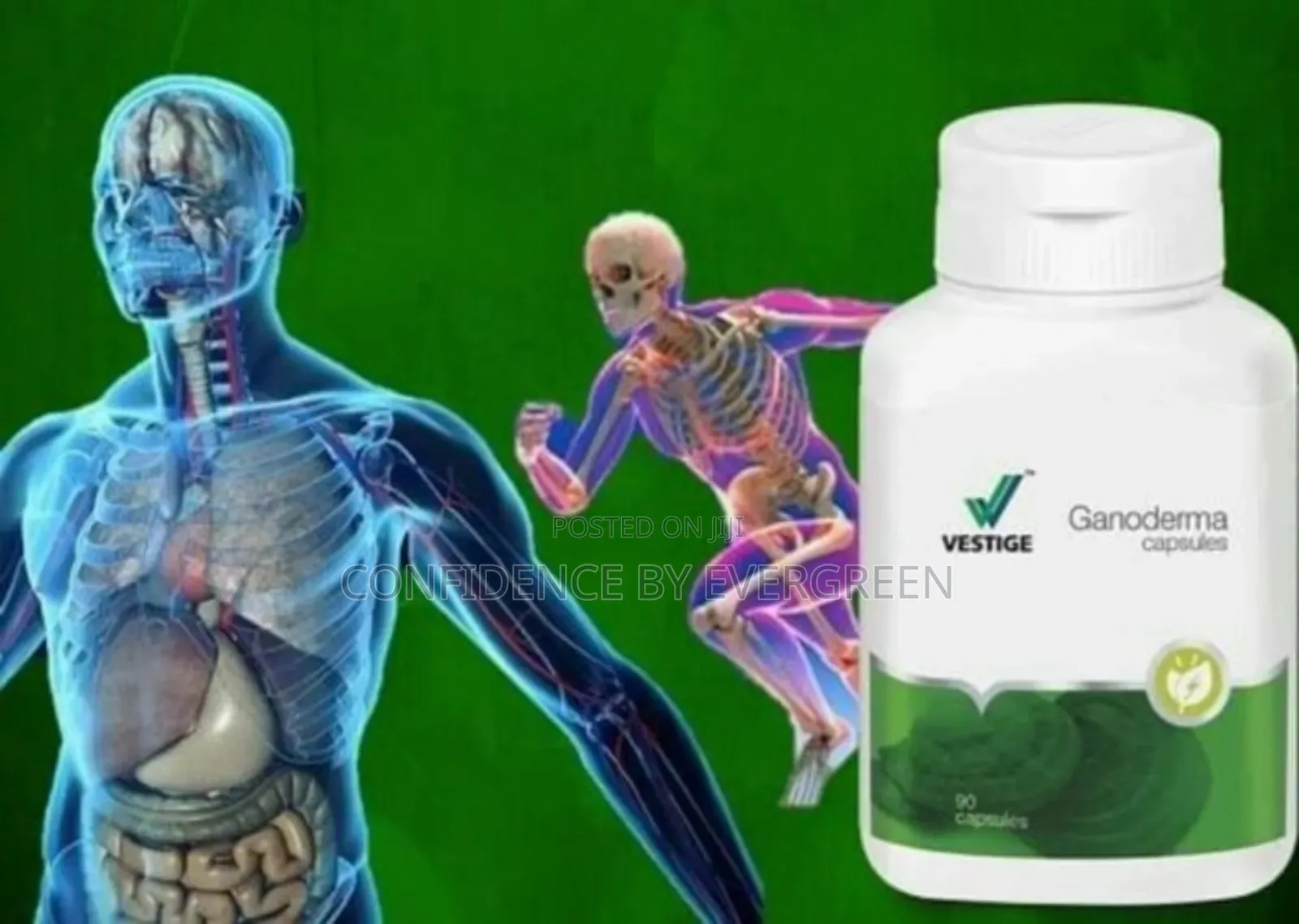 Ganoderma Capsules by Vestige