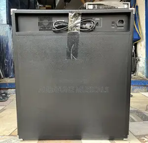 Peavey Ba300 300-watt Bass Amp Combo
