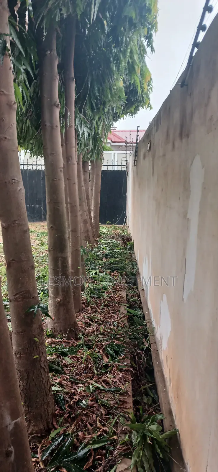 4bdrm House in Regimmanuel Estate, Regimanuel Gray Estates for rent