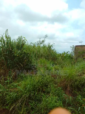 A Plot of Land for Sale