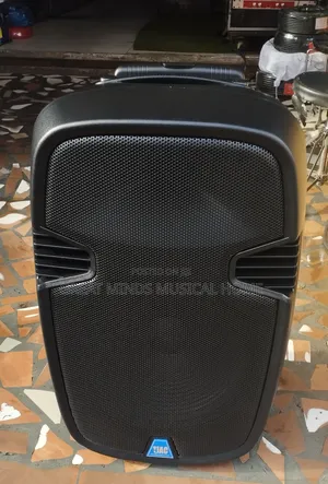 Jac 15" Rechargeable Bluetooth Speaker