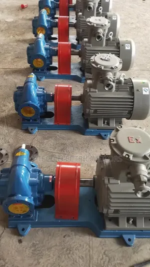 2" Gear Oil Transfer Pump With Explosive Proof