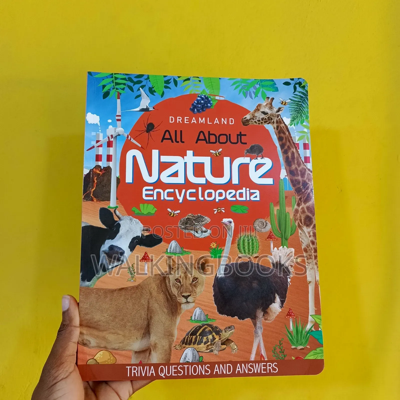 Children's Books (75 Cedis Each)