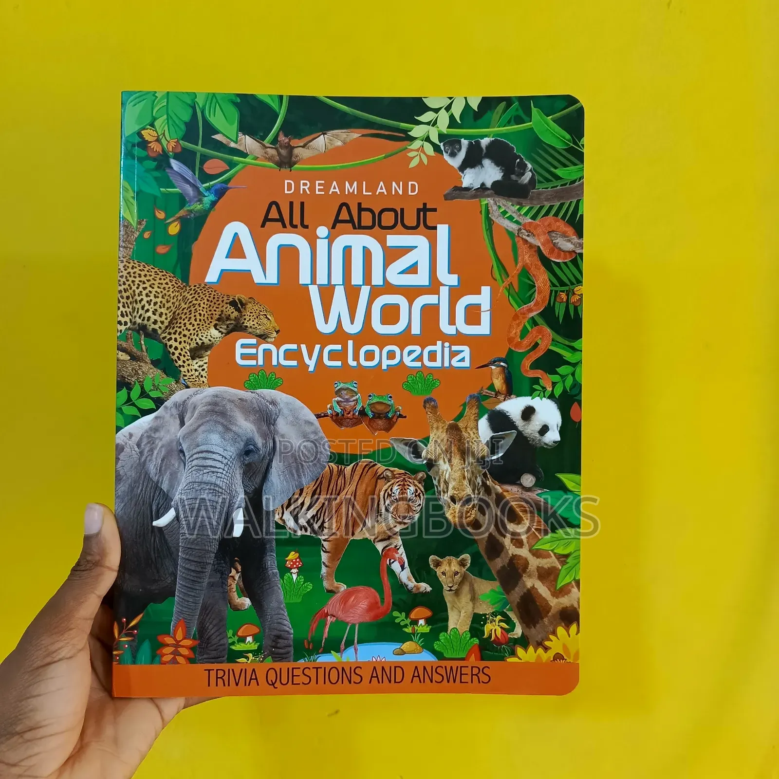 Children's Books (75 Cedis Each)