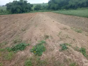 Alpha Investment and Properties Land for Sale