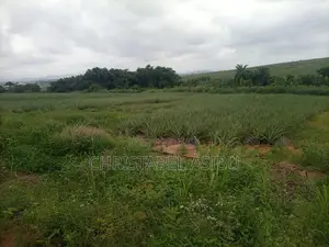 Alpha Investment and Properties Land for Sale