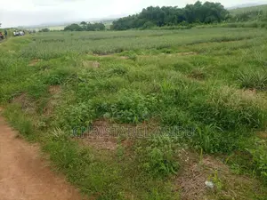Alpha Investment and Properties Land for Sale