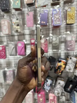 New Apple iPhone 15 Pro Max 256 GB Silver
