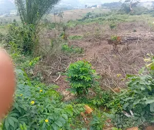Litigation Free Lands Available for Sale at Mamfe Akuapim