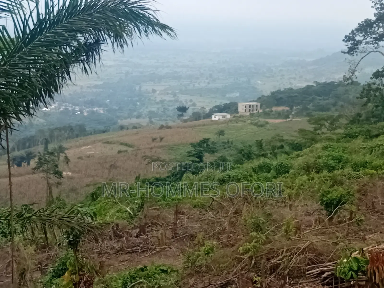 Litigation Free Lands Available for Sale at Mamfe Akuapim