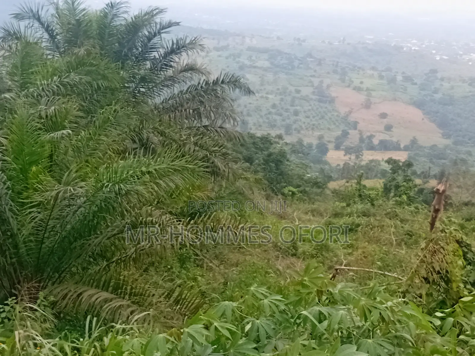 Litigation Free Lands Available for Sale at Mamfe Akuapim