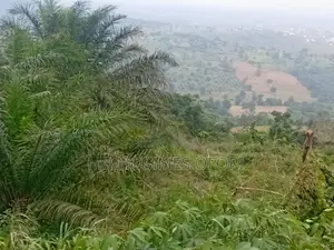 Litigation Free Lands Available for Sale at Mamfe Akuapim