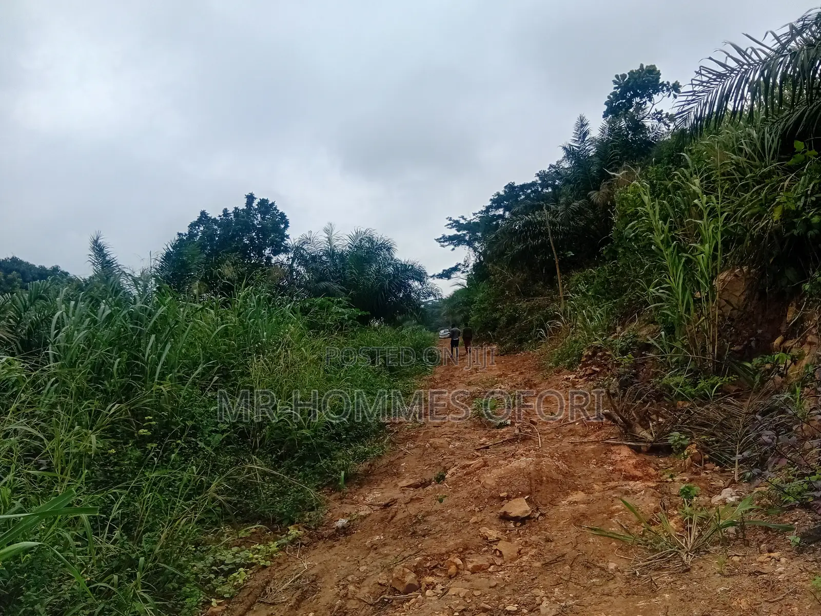 Litigation Free Lands Available for Sale at Mamfe Akuapim