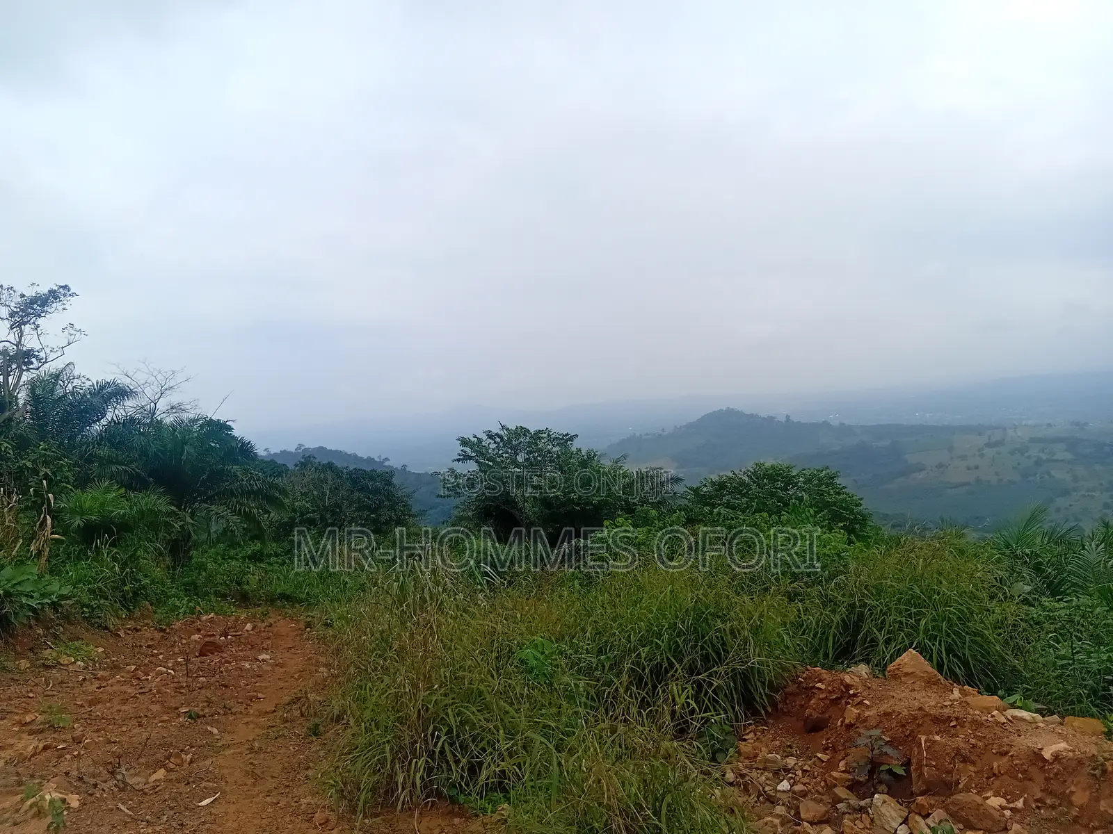 Litigation Free Lands Available for Sale at Mamfe Akuapim