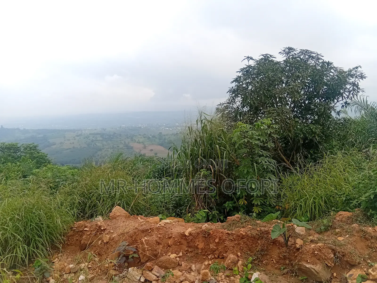 Litigation Free Lands Available for Sale at Mamfe Akuapim