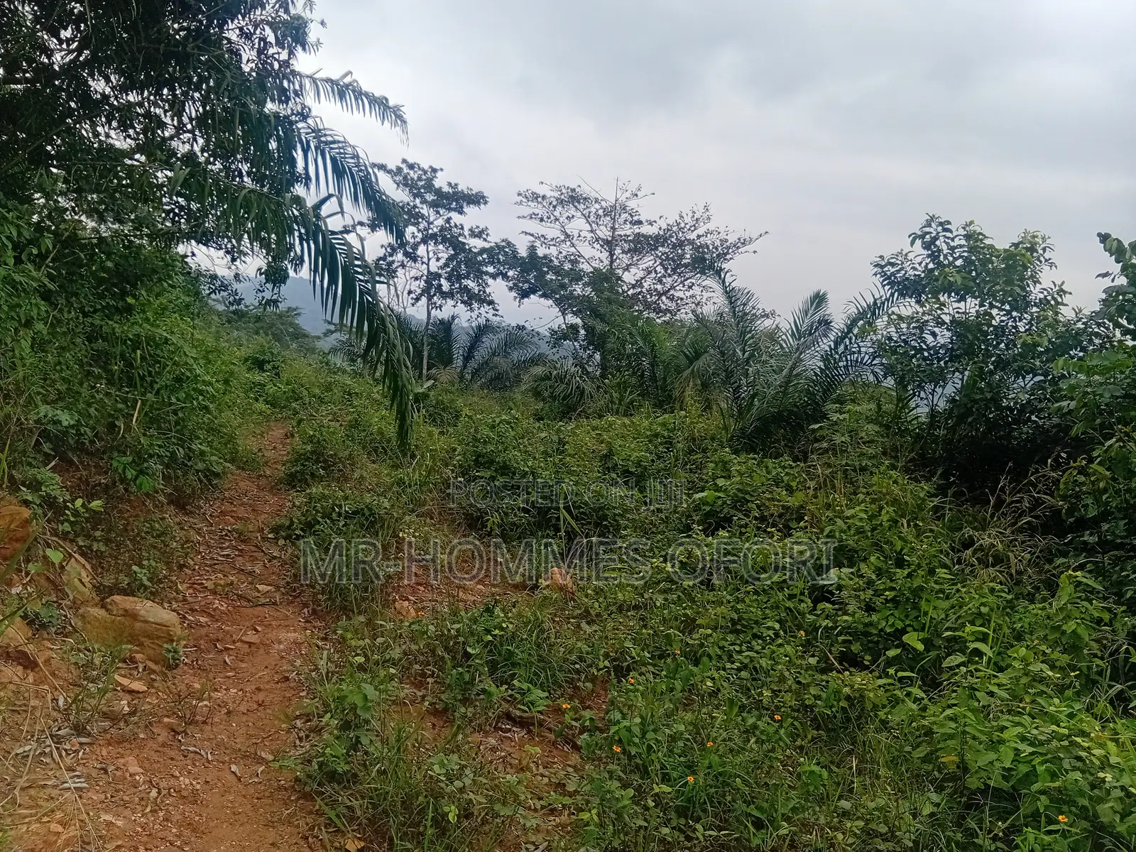 Litigation Free Lands Available for Sale at Mamfe Akuapim