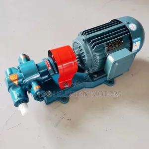 1 Inch Oil Transfer Gear Pump for Diesel, Palm Oil, Paints Etc