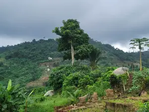 Half Plot for Sale