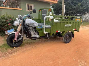 New Tricycle 2025 Green