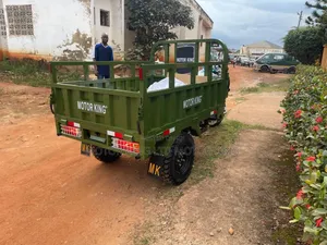 New Tricycle 2025 Green