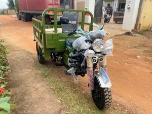New Tricycle 2025 Green