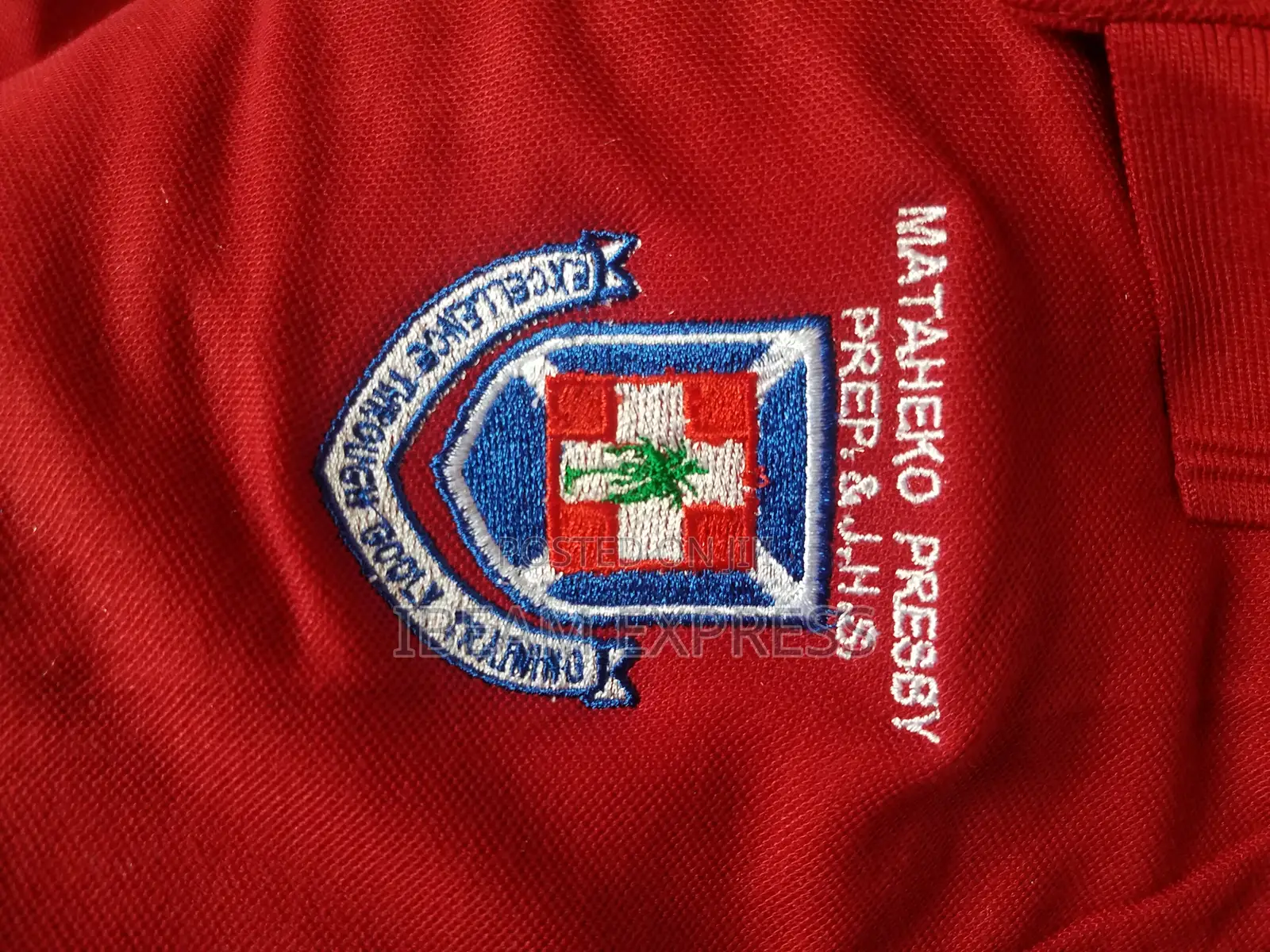 Detailed Embroidery Print on School Lacoste