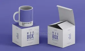 Mug in a Mugbox.