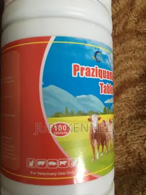 Praziquantel Tablets (Dewormer)