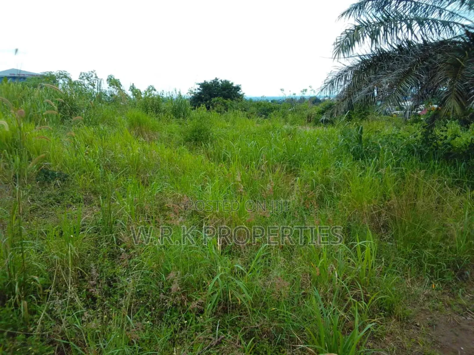 2 Plots of Land for Sale