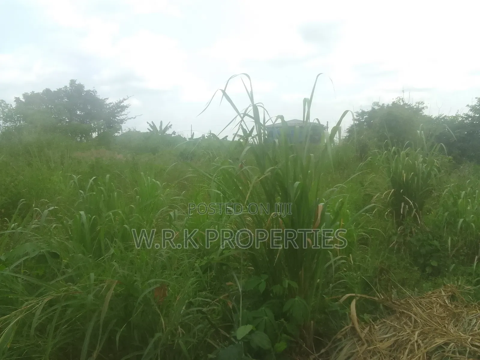 2 Plots of Land for Sale