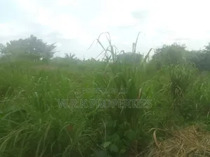 2 Plots of Land for Sale