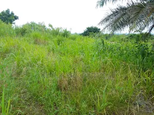 2 Plots of Land for Sale