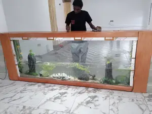 Aquarium and Catfish Display Tanks