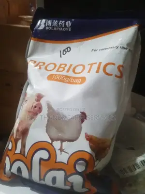 Probiotics For Animals