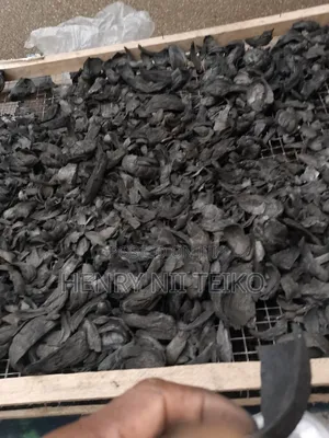 Coconut Shell Charcoal