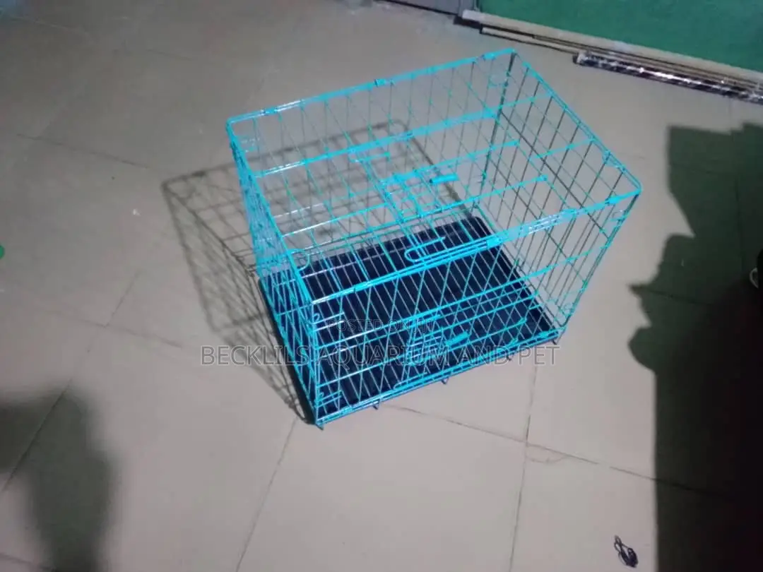 Cat and Rabbit Cage