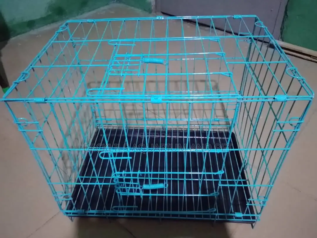 Cat and Rabbit Cage