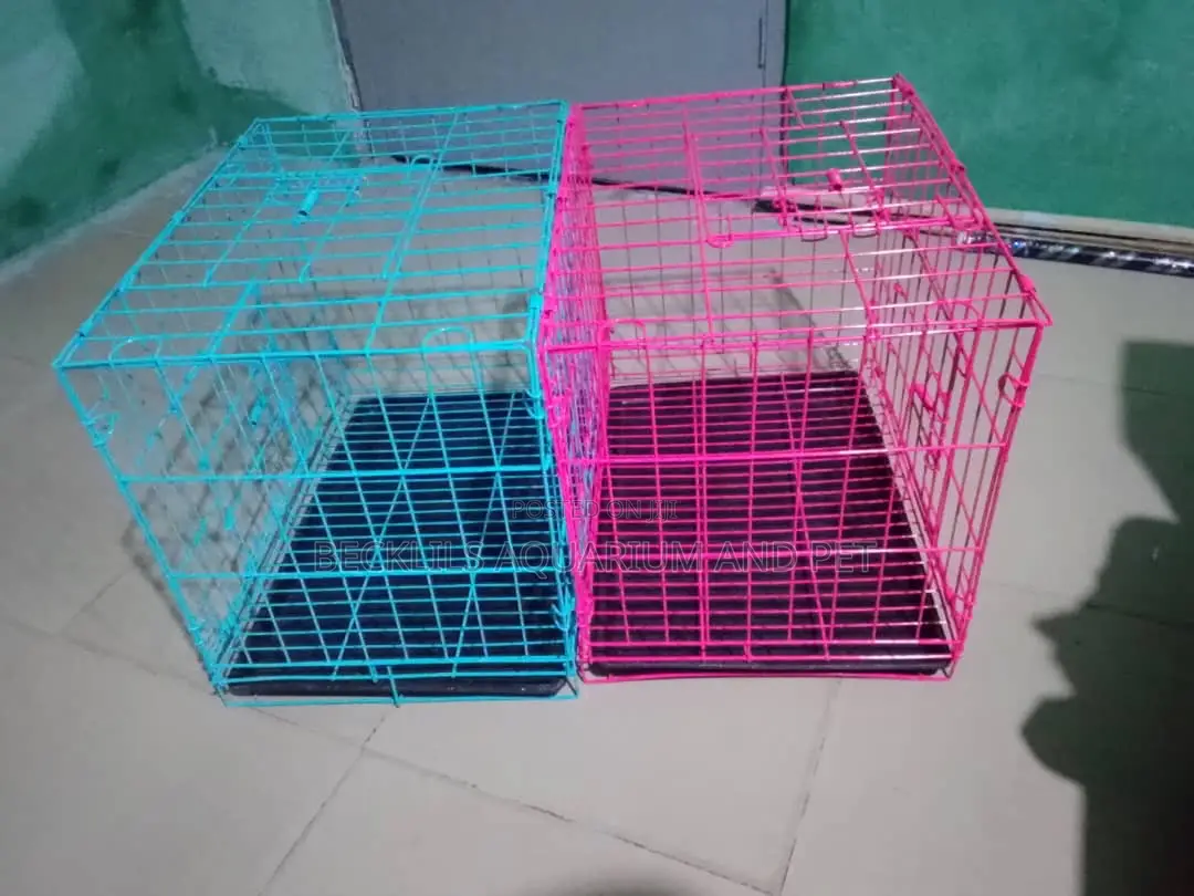 Cat and Rabbit Cage