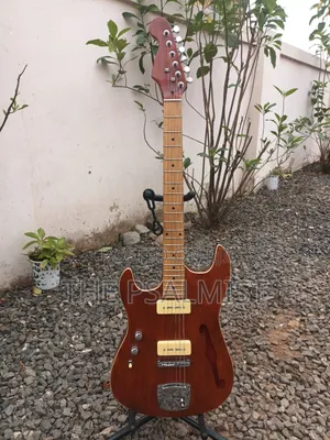 Customized Semi Hollowbody Guitar(Professional Left-Hand Guitar).